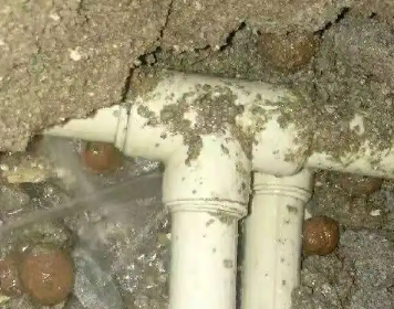 双台子测漏水多少钱