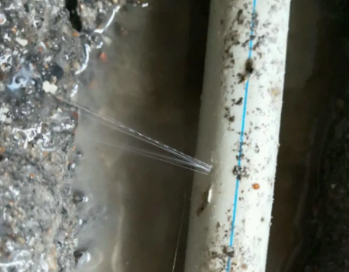 双台子测漏水哪家好